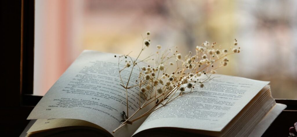 książki romans fantasy