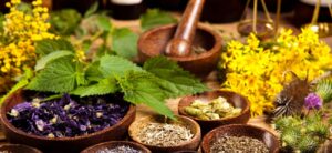 zioła na obniżenie cukru