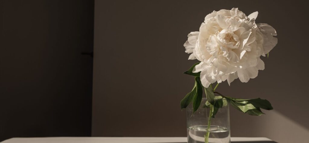 peonie w wazonie bukiet