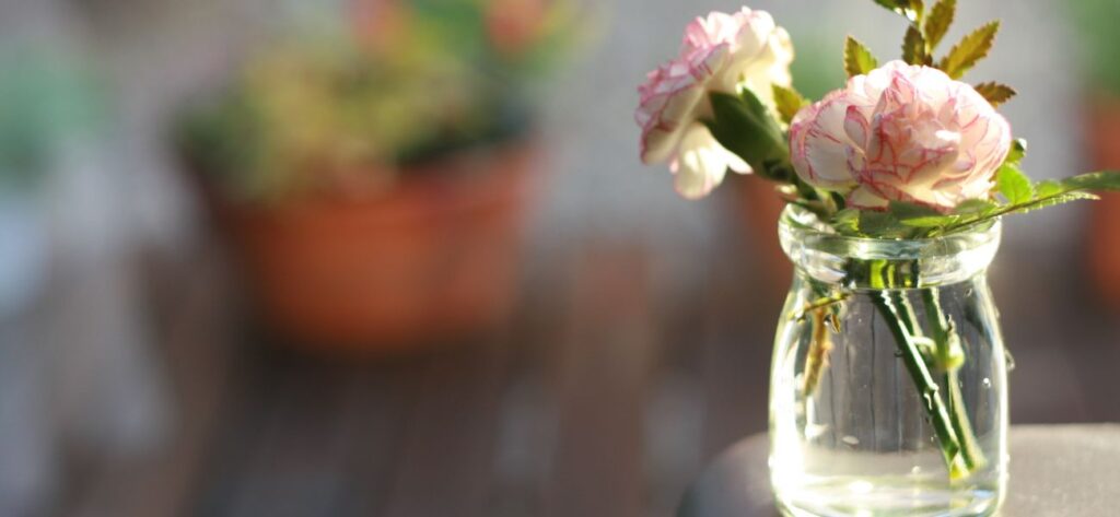 kwiaty w wazonie jak dbać