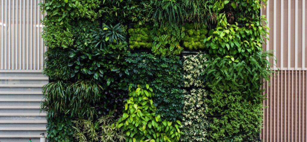 ogrody wertykalne zewnętrzne i wewnętrzne