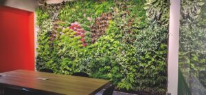 Jak stworzyć ogróde wertykalny w biurze?