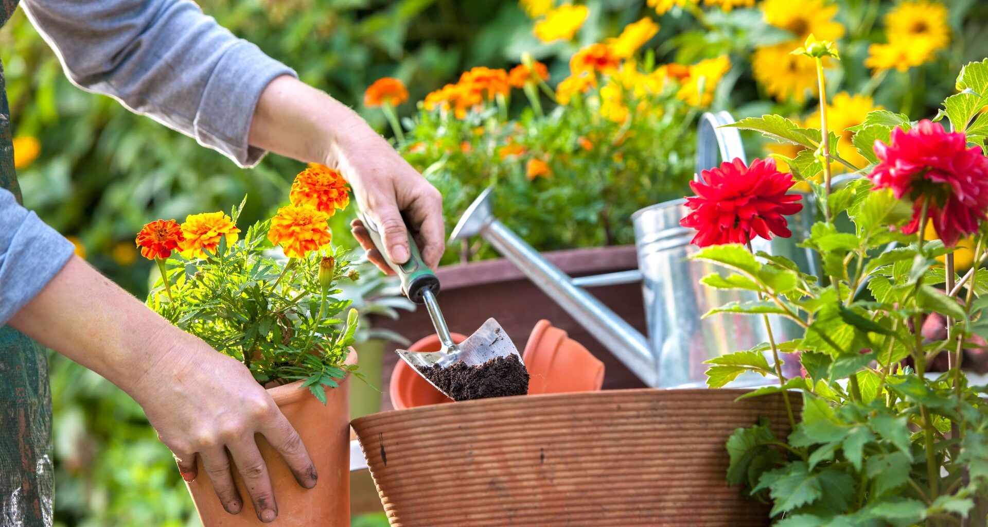 praca ogrodowe 2025 pdf do pobrania