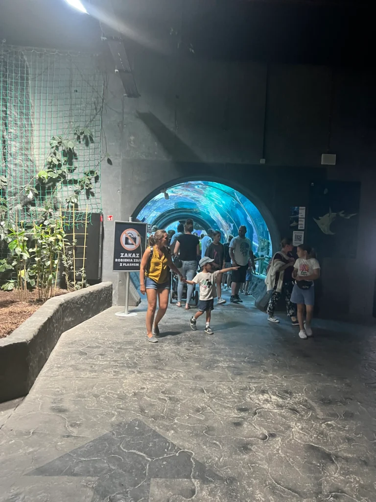 Akwarium - Zoo w Łodzi