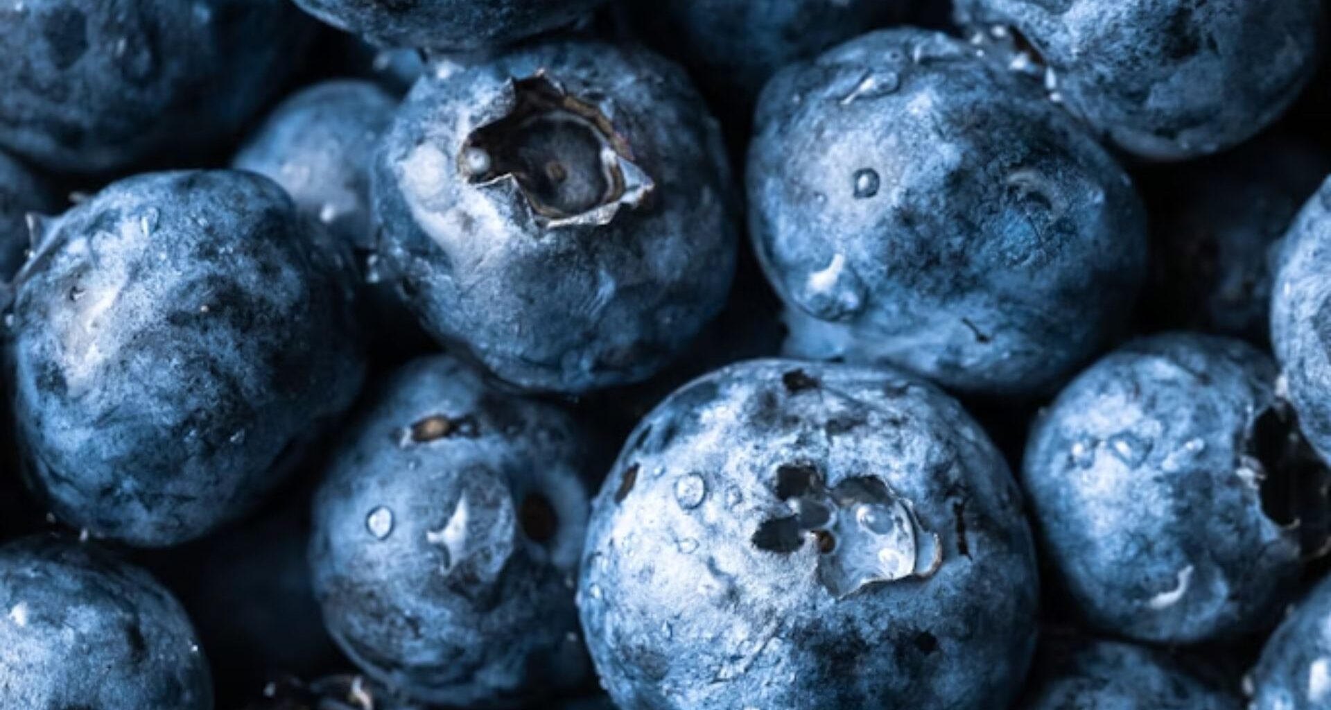 jagody lesne - zdrowie i uroda przepisy